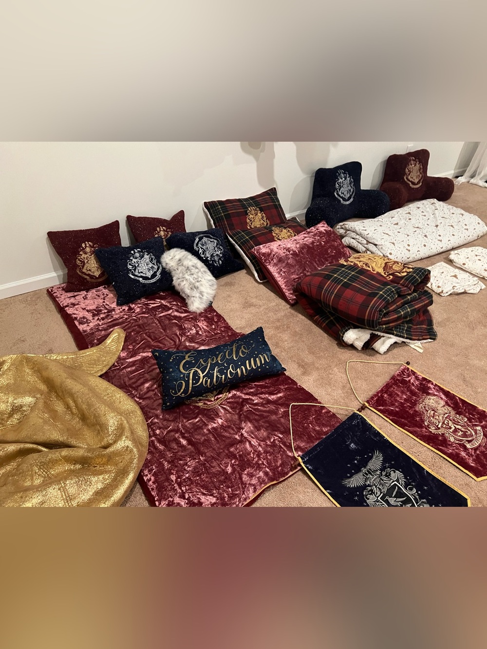 Pottery barn teen harry potter lot throw pillows golden snitch quilt duvet owl